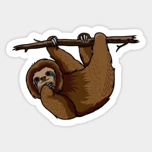 Sloth Sticker